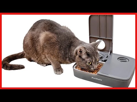 PetSafe Analog 2 Meal Programmable Pet Feeder, Automatic Dog and Cat Feeder - Dry or Semi-Moist Pet