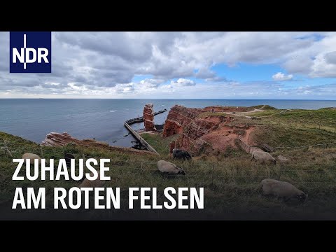 Video Thumbnail: Neustart auf Helgoland | die nordstory | NDR Doku