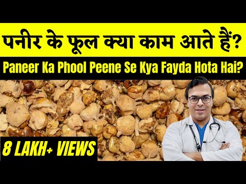 Paneer Ke Phool Kya Kaam Aate Hain? | Paneer Ka Phool Peene Se Kya Fayda Hota Hai? | DIAAFIT