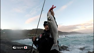 Lubinas con Daiwa Shore Line Shiner Z Vertice R-140