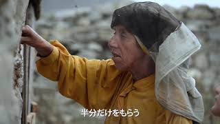 Trailer Preview Image