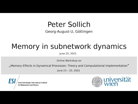 Peter Sollich - Memory in subnetwork dynamics