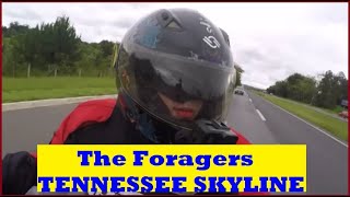 Download lagu TENNESSEE SKYLINE (Johnny Boy) - The Foragers mp3 Download lagu TENNESSEE SKYLINE (Johnny Boy) - The Foragers mp3