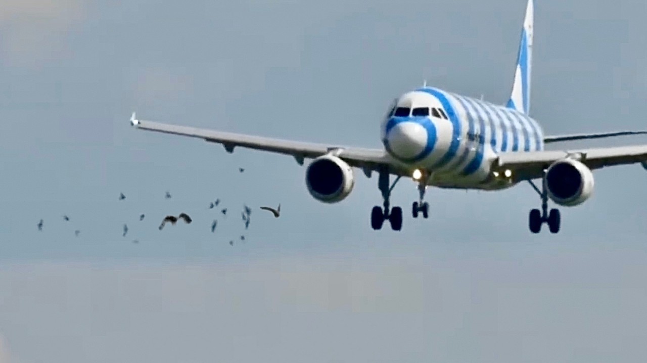 Plane Suffers Birdstrike Into Both Engines