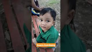 Download lagu SUARA KUMBANG HUTAN mp3