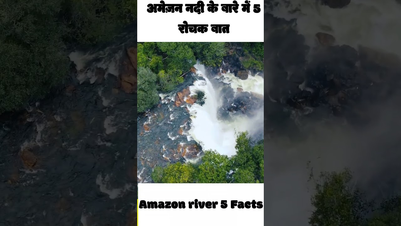 Amazon river facts. अमेज़न नदी #amazonriver #shortsfeed #shortvideo #viralvideo #facts #factshorts