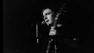 Songs: Ohia - Coxcomb Red - Live 1999 - from The Lioness album