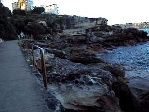 The Deirdre Delamere Show! Bondi Beach - scenery 2