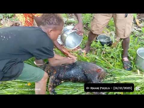 NEW YEAR PARTY - [Mang Kandrian] WNB🇵🇬