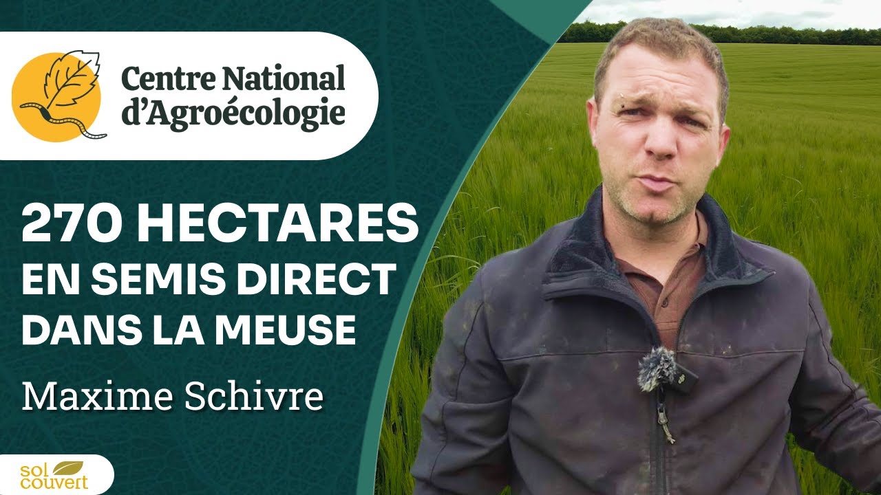 270 ha en SEMIS DIRECT dans la Meuse, Maxime Schivre - CNA