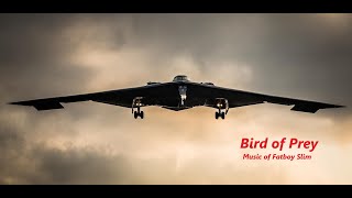 Bird of Prey - Fatboy Slim