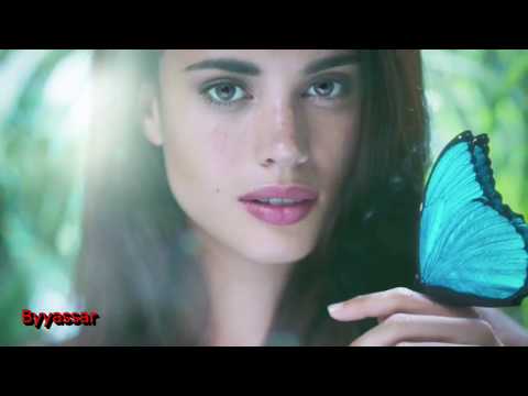 Breezz Studio - Dancing Butterfly (Remix 2017)