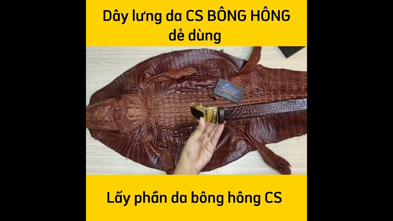 Thắt Lưng Nam Da Cá Sấu Thật TS104
