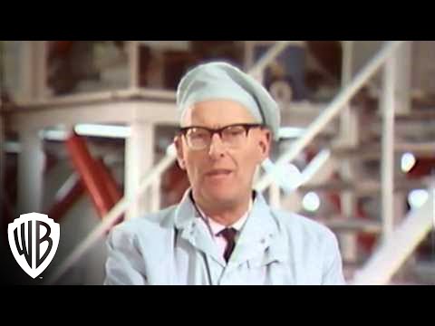 A Look Behind The Future