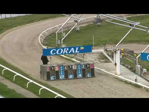Anniversary Girl - Crawley Trophies Bitches Cup Final