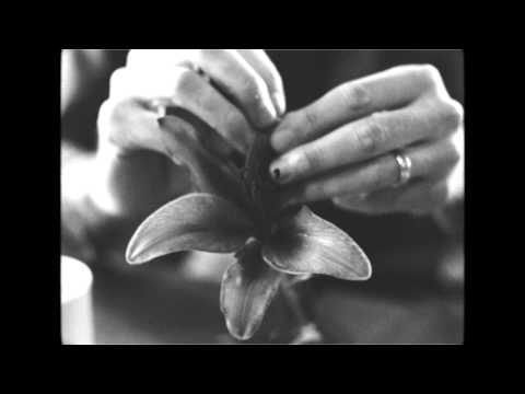 Matt Costa - Ark Song