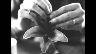 Matt Costa - Ark Song