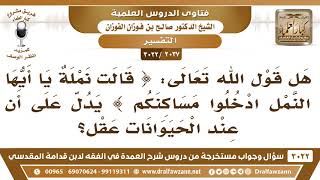 [2037 -3022] هل يستدل من قوله تعالى(قالت نملة يا أيها النمل ادخلوا مساكنكم)على أن الحشرات لديها عقل؟ image
