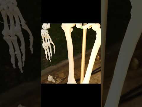 Reklama Bakuś®#bakus #memes #xd