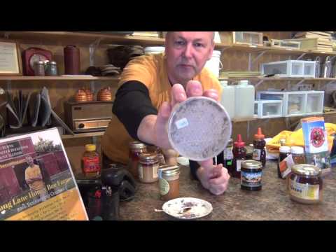 Beekeeping: Honey Part 1