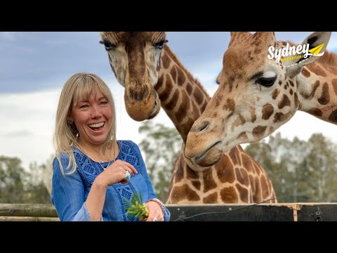 Mogo Wildlife Park