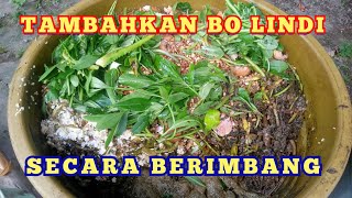 Download lagu Cara MENAMBAH BAHAN ORGANIK LINDI SUPER mp3 Download lagu Cara MENAMBAH BAHAN ORGANIK LINDI SUPER mp3