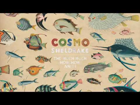 Cosmo Sheldrake - Wriggle