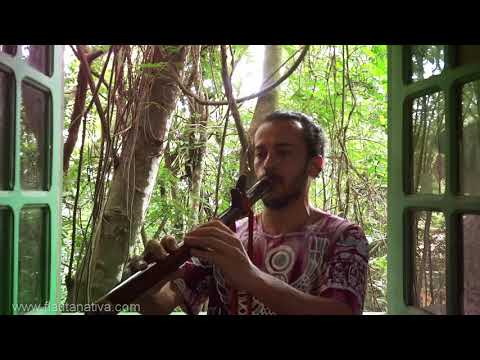 Flauta Nativa E improviso