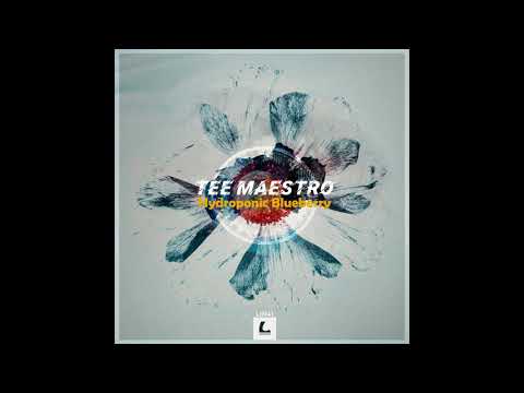 Tee Maestro – Sweet Doors of Oblivion