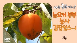 [나는농부다 277회 2부] 뉴요커 부부 농사 감 잡았스~~!