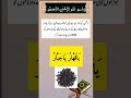 Dushman Ka Amal Wazifa For Dushman Zair Krna