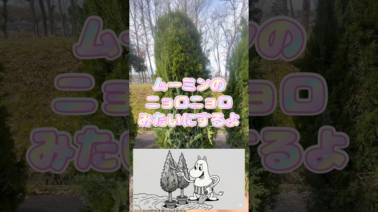 貝塚伊吹をニョロニョロみたいに可愛く刈り込む