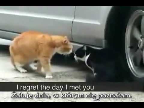 ZDRADA ZAWSZE BOLI 