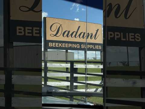 Dadant Honey Extractor Purchase #honey #bees #ytshorts #honeyextraction