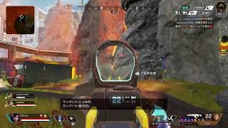 親知らず抜いたからAPEX