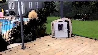 "Auprès de ton coeur" Vidéo Fan