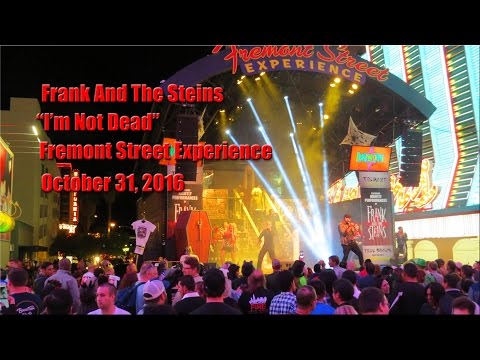 Frank And The Steins - 