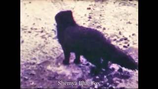 19760406: Departing Shemya, AK