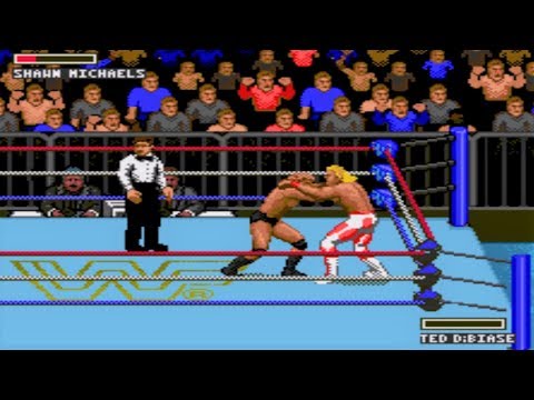 WWF Super WrestleMania Sega Genesis Gameplay HD