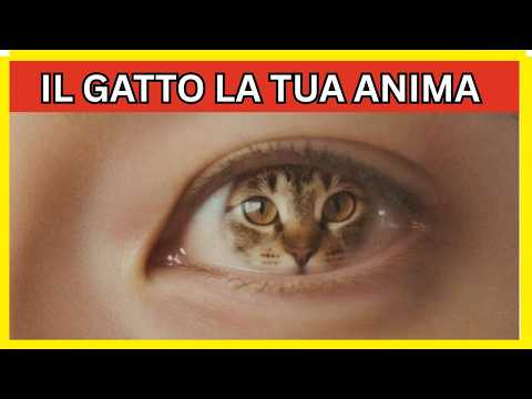 Perché il GATTO è lo SPECCHIO della tua vera NATURA?