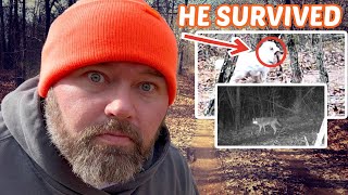 20 Hidden Cameras Caught What Was Stalking Him