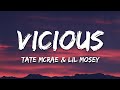 Tate McRae - vicious (Lyrics) ft. Lil Mosey