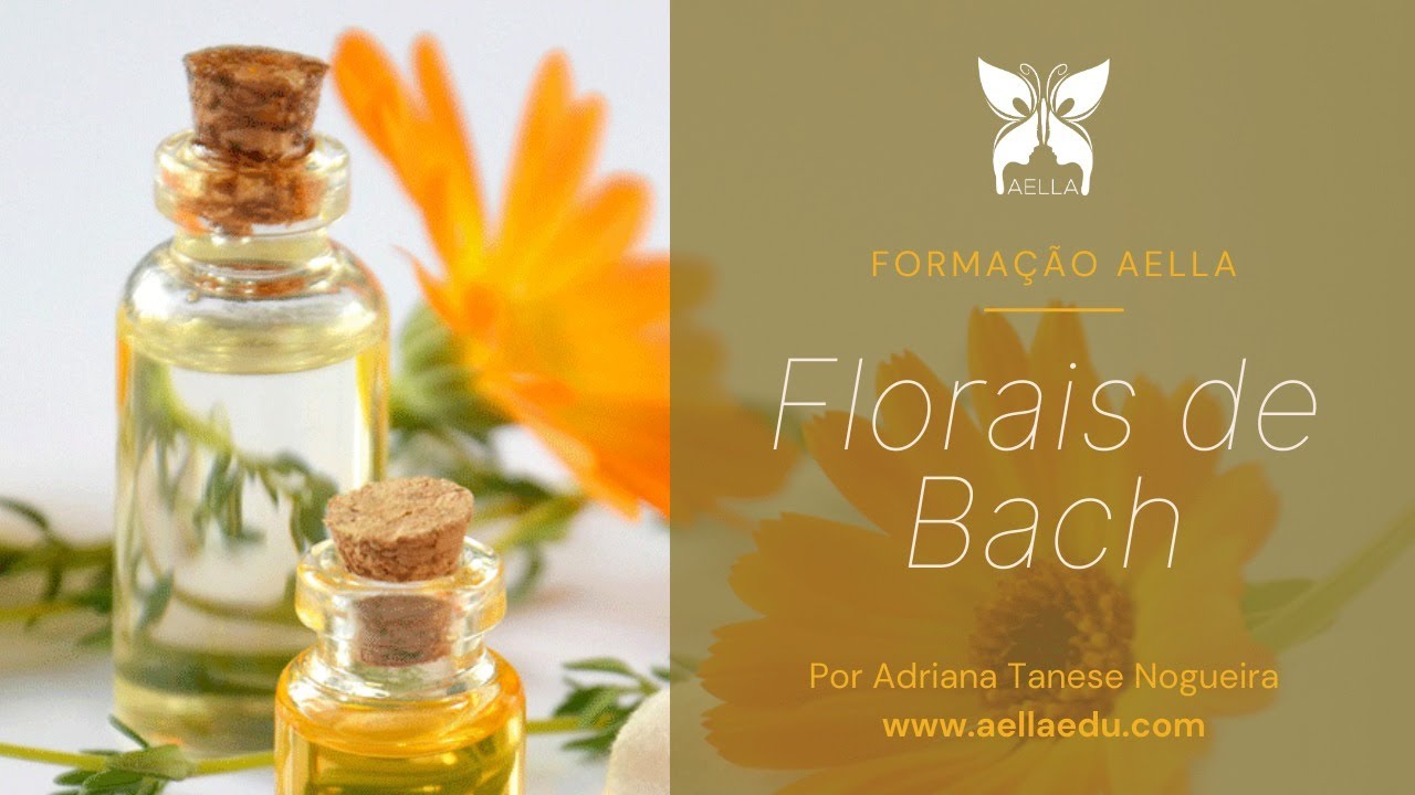 Módulo 3 - Mustard. Cursos de Florais de Bach.