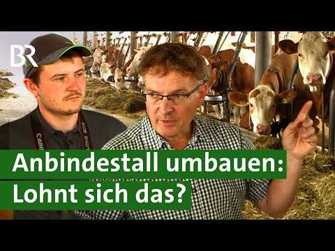 Anbindehaltung vor dem Aus - Bauern in der Klemme: Dicht machen oder umbauen? | Unser Land | BR
