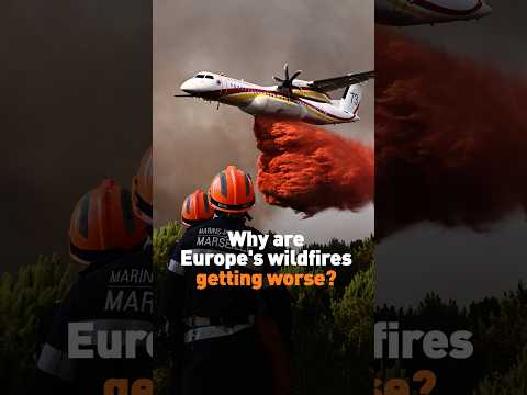 Why are Europe's wildfires getting worse?