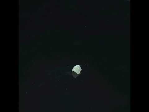 YouTube 썸네일