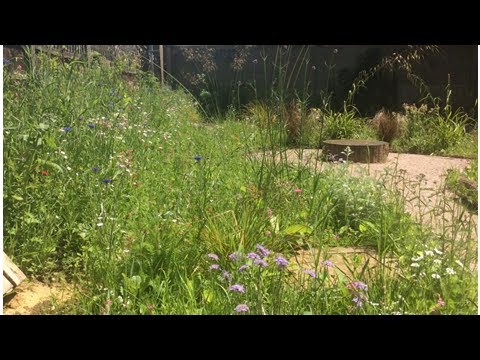 Graveney School open wildlife gardens