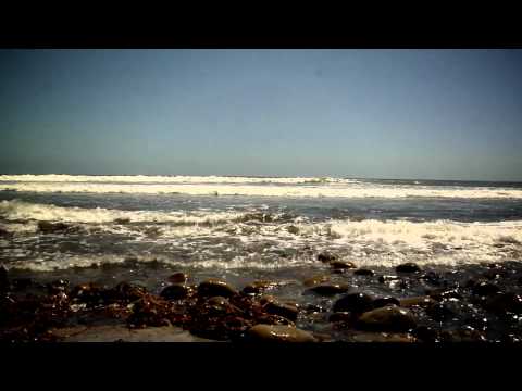 MILLS MOTORSPORTS 2014 BAJA 500