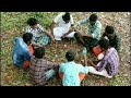 Paavam Paavada Dance cover  [ SOULMATES]