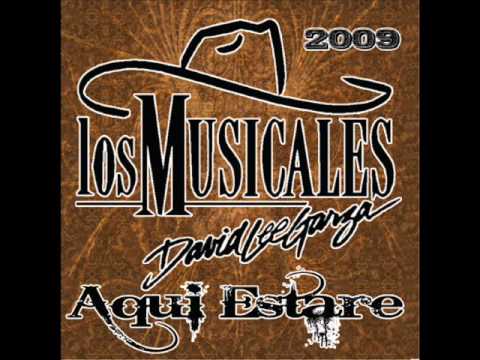 David Lee Garza y Los Musicales - Pasan Los Anos.wmv